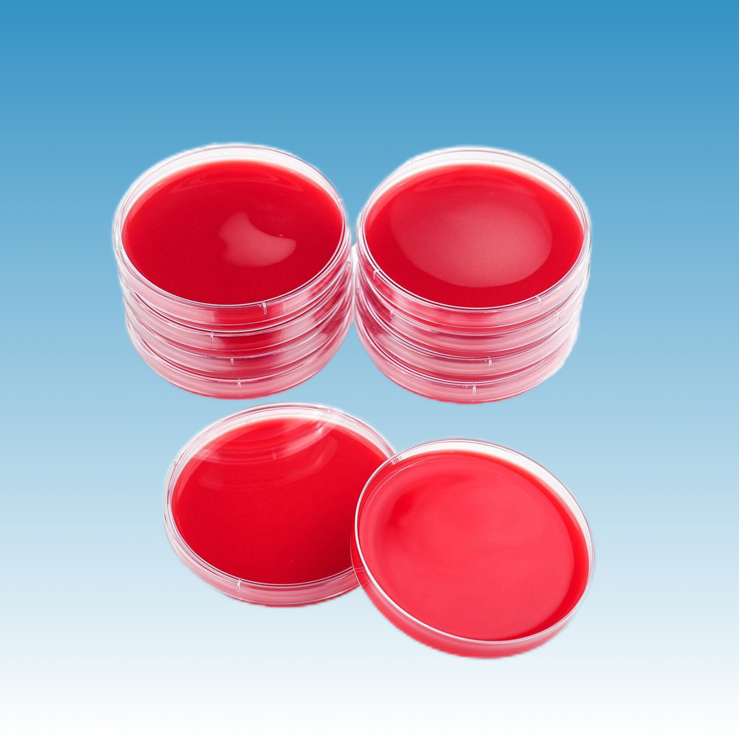 PB001 血琼脂平板